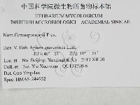 登錄號:F0027911藏品圖，第3張