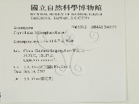 登錄號:F0027912藏品圖，第2張