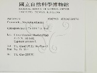 登錄號:F0027913藏品圖，第2張