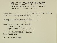 登錄號:F0027914藏品圖，第2張