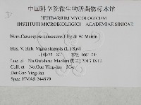 登錄號:F0027914藏品圖，第3張