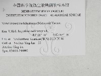 登錄號:F0027915藏品圖，第3張