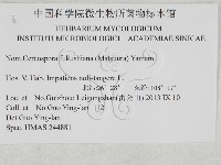 登錄號:F0027916藏品圖，第3張