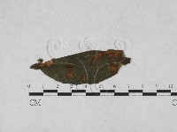 登錄號:F0027916藏品圖，第1張