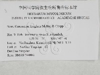 登錄號:F0027917藏品圖，第3張