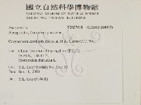 登錄號:F0027918藏品圖，第2張