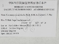 登錄號:F0027919藏品圖，第3張