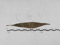 登錄號:F0027919藏品圖，第1張