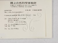 登錄號:F0027920藏品圖，第2張