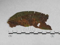 登錄號:F0027920藏品圖，第1張