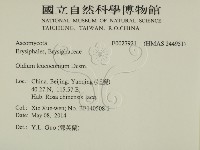 登錄號:F0027921藏品圖，第2張