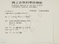 登錄號:F0027922藏品圖，第2張