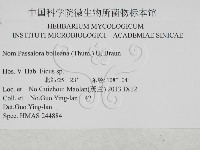 登錄號:F0027922藏品圖，第3張