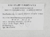 登錄號:F0027924藏品圖，第3張