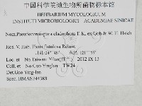 登錄號:F0027925藏品圖，第3張