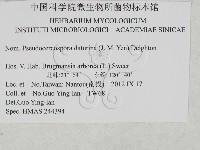 登錄號:F0027926藏品圖，第3張