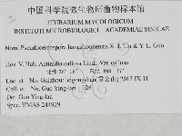 登錄號:F0027927藏品圖，第3張