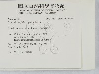 登錄號:F0027930藏品圖，第2張