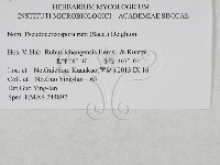 登錄號:F0027930藏品圖，第3張