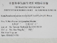 登錄號:F0027931藏品圖，第3張