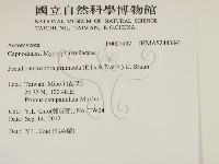 登錄號:F0027932藏品圖，第2張