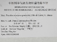 登錄號:F0027932藏品圖，第3張