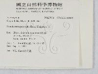 登錄號:F0027933藏品圖，第2張