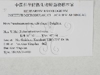 登錄號:F0027933藏品圖，第3張