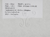 登錄號:F0027933藏品圖，第4張