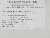 登錄號:F0027934藏品圖，第2張