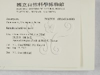 登錄號:F0027935藏品圖，第2張