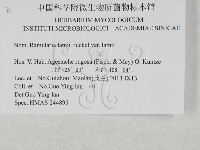 登錄號:F0027935藏品圖，第3張