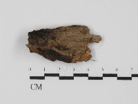 登錄號:F0027936藏品圖，第1張