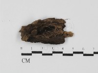登錄號:F0027936藏品圖，第4張