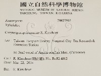 登錄號:F0027937藏品圖，第2張