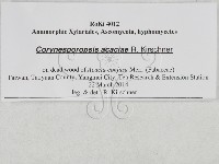 登錄號:F0027937藏品圖，第3張