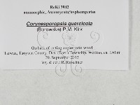 登錄號:F0027938藏品圖，第3張