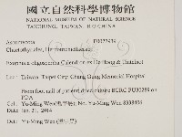 登錄號:F0027939藏品圖，第2張