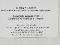 登錄號:F0027939藏品圖，第3張