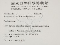 登錄號:F0027940藏品圖，第2張