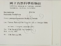 登錄號:F0027941藏品圖，第2張