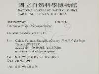 登錄號:F0027947藏品圖，第2張