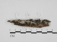 登錄號:F0027948藏品圖，第1張