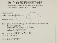 盤革菌屬藏品圖，第2張