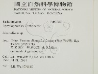 盤革菌屬藏品圖，第2張