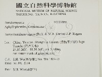 登錄號:F0027955藏品圖，第2張