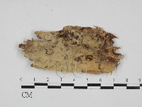 登錄號:F0027956藏品圖，第1張