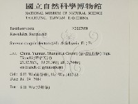 登錄號:F0027958藏品圖，第2張