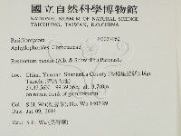 登錄號:F0027962藏品圖，第2張