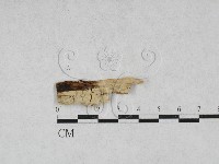 登錄號:F0027962藏品圖，第1張